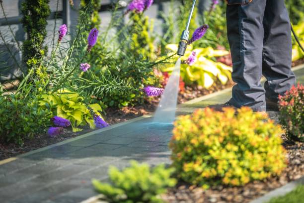Best House Exterior Washing  in Portage, PA