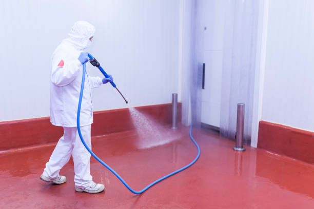 Best Rust Removal  in Portage, PA